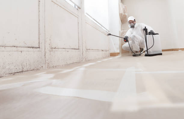 24/7 Emergency Attic Mold Removal experts in Zeeland, MI